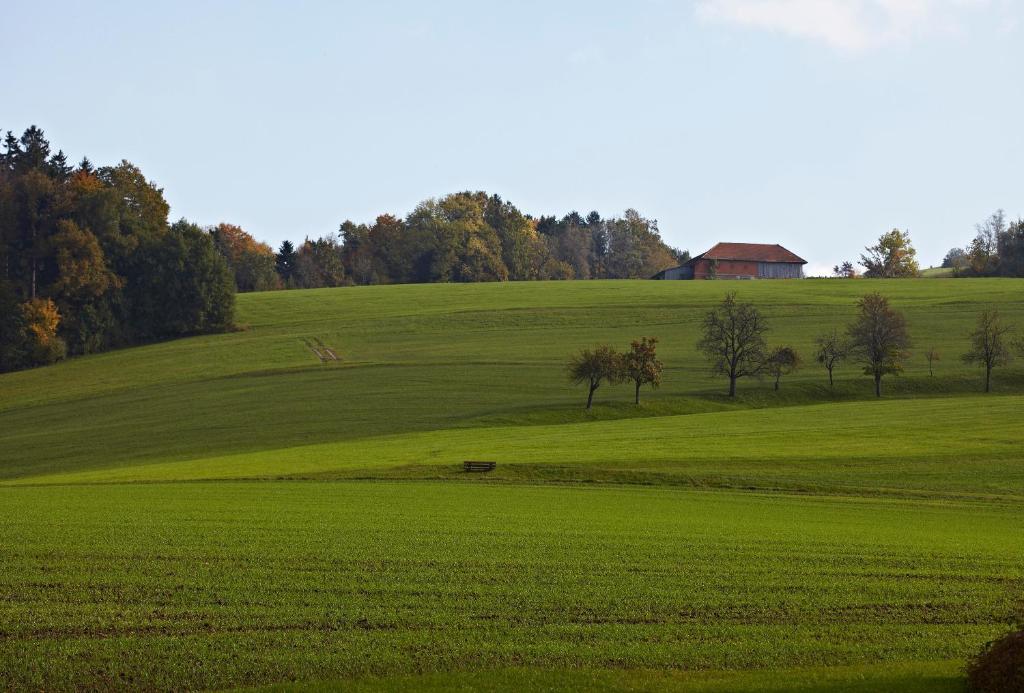 Pension Jageredt Nussbach Exterior foto